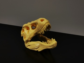 IMG_20201225_164829.jpg